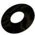 Washer Flat 0.125in-ID 0.25in-OD 0.005in-THK Mica