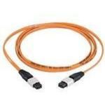 Cable Assembly Fiber Optic 2m MTP to MTP F-F