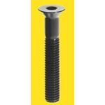 Screw Cap Flat-HD Hex Socket 10-32-THD