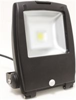 PowerLED LED Floodlight, 1 LED, 30 W, IP65