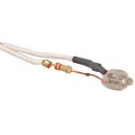 BULB & LEAD ASSY,NEON,277VAC 120K RESISTOR,2LEADS