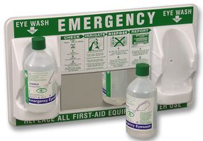 ROEBUCK         E481             EYEWASH STATION