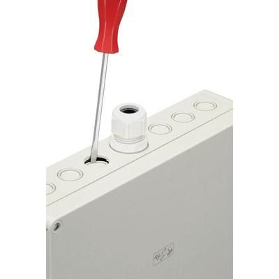 Build-in casing Polycarbonate (PC) Grey 300 x 600 x 132 Spelsberg AKi 4-g 1 pc(s)