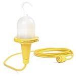 A21 Incandescent Lamp