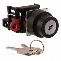 SWITCH KEYLCK 2POS SPST 10A 110V