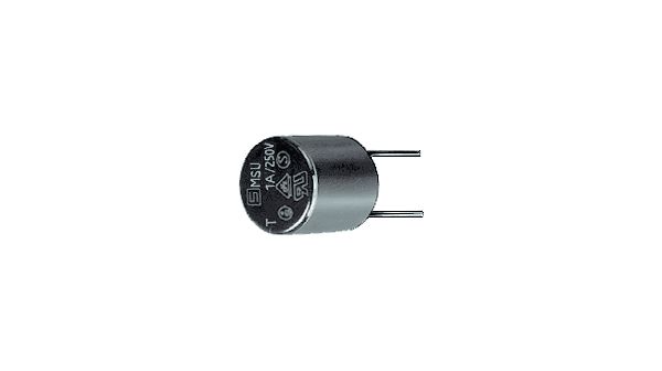 Fuse Subminiature Fast Acting 0.315A 125V Radial 6.4 X 8.8mm Thermoplastic CCC/CSA/UL/cULus