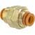FEMALE BULKHEAD,  PNEUMATIC,  1/2IN. OD TUBE,  1/2IN. NPT THREAD