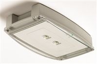 Emergency Light Fitting Bulkhead 5 W LED 263 x 55 x 142 mm