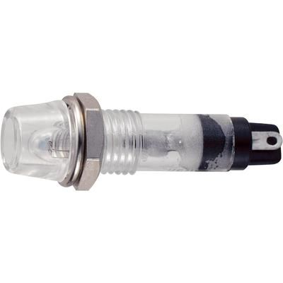 Standard Signal lighting Clear