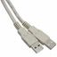 CABLE USB A-A MALE DBL SHIELD 5M