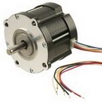 STEP MOTOR HYBRID DUAL SHAFT 24V