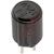 Fast-Acting Fuse 200mA 125V Radial Thermoplastic