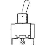 Toggle Switch, SPST, Momentary, Screw Terminal, Lever Actuator, Panel Mount-threaded