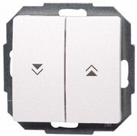10 A Wall Switch Shutter Flush, 250 V ac