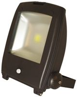 PowerLED LED Floodlight, 1 LED, 50 W, IP65