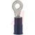 200 Series Insulated Tin Plated Crimp terminal,  #6 Stud Size,  16 to 14 AWG,  Blue