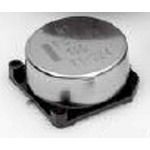 Cap Supercap 1F 5.5V -20% to 80% (21 X 10.5mm) SMD Cylindrical 1500uA 7 Ohm 70°C T/R