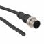 4-Conductor PVC Cable Assembly, 5A, 500V, IP67, Gold Pin