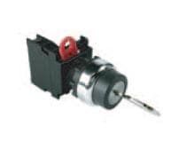 Switch Key Lock N.O. SPST 45° Flat Key 10A 240VAC 240VDC Screw 300000Cycles Panel Mount