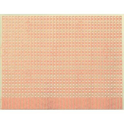 WR Rademacher VK C-904-1-EP Laboratory Card VK C-904-1-EP (L x W x H) 100 x 80 x 1.5 mm Grid pitch 2.54 mm EP