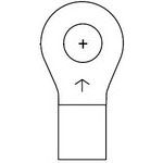 Ring Tongue Terminal 10-12AWG ETP Copper 18.54mm Tin Case