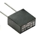 Time Delay Fuse 1A 250V Radial Bulk