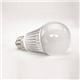 LED Light Bulbs Cool White A19 LED Lamp