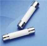 Fast Acting Fuse 0.8A 250V Ceramic Cartridge 5x20mm