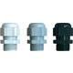Cable gland PG7 Polyamide Light grey (RAL 7035) Bimed BS-11 100 pc(s)