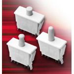 DPDT Illuminated Pushbutton Switch, 250V, 10A, Quick Connect