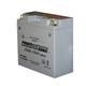Sealed Lead Acid Battery 12V 12.5AH Motorsport battery