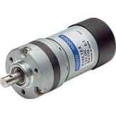 DC motor, 40.5 mm, with gearbox 125:1 12 VDC, E192.12.125, Micro Motors
