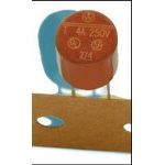 Time Delay Fuse, 2A, 250VAC, 50A IR, Through Hole, TR5