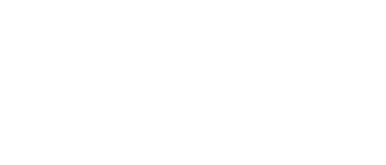 Stag Instruments logo